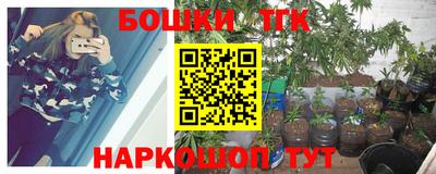 гашик Кизилюрт