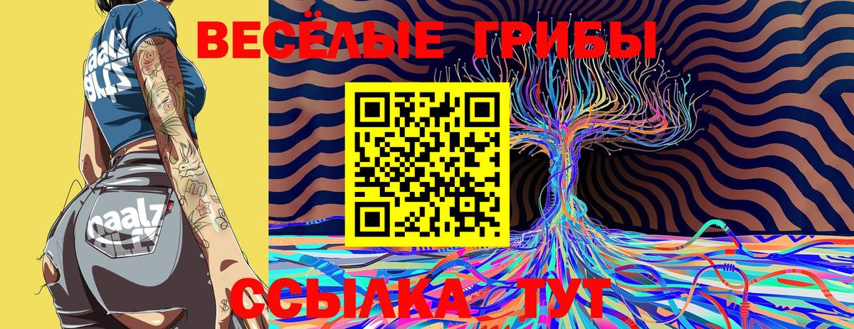 Галлюциногенные грибы Psilocybe Удомля
