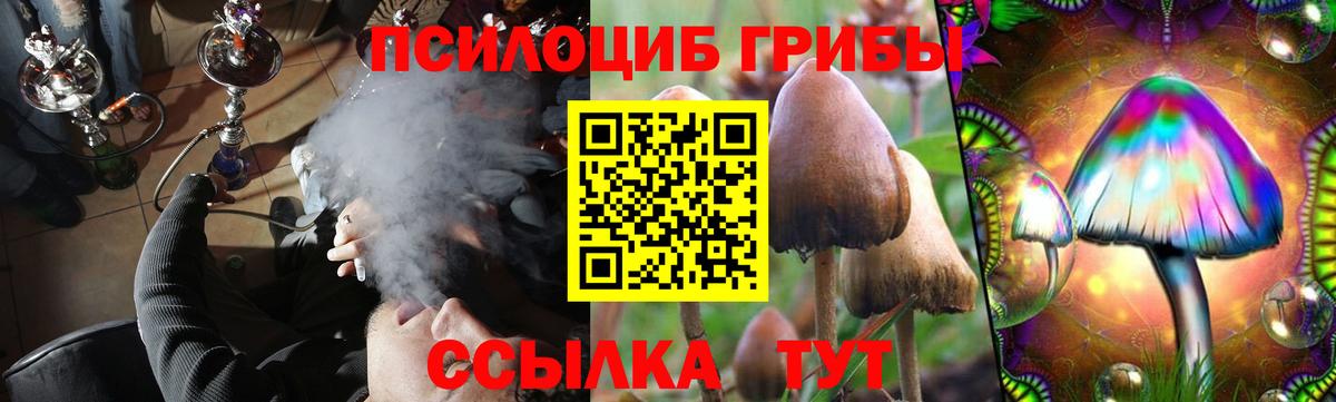 Галлюциногенные грибы MAGIC MUSHROOMS  Галлюциногенные грибы мухоморы  Удомля  Вход с VPN 